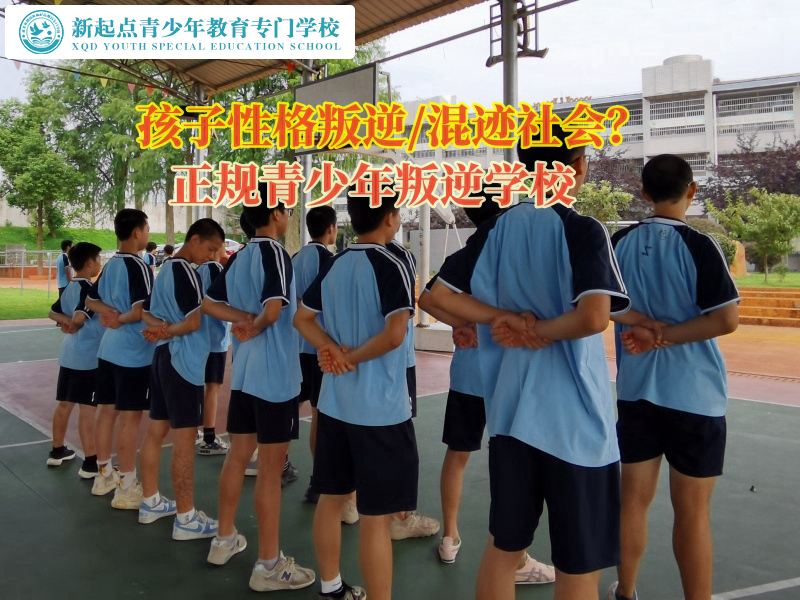 正規(guī)青少年叛逆學校矯正孩子仇視父母行為