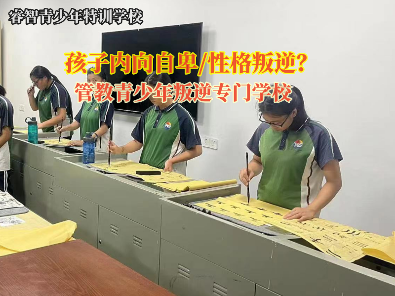 管教青少年叛逆專門學(xué)校引導(dǎo)孤僻孩子變得開朗