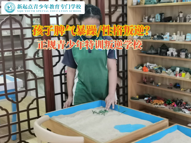企業(yè)—正規(guī)青少年特訓(xùn)叛逆學(xué)校淺談孩子情緒失控的原因