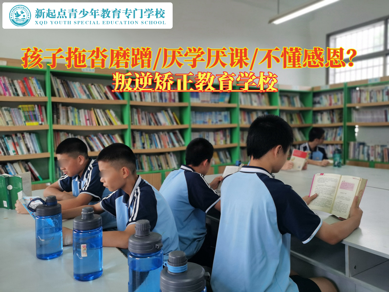 叛逆矯正教育學校教育孩子遠離學習拖延