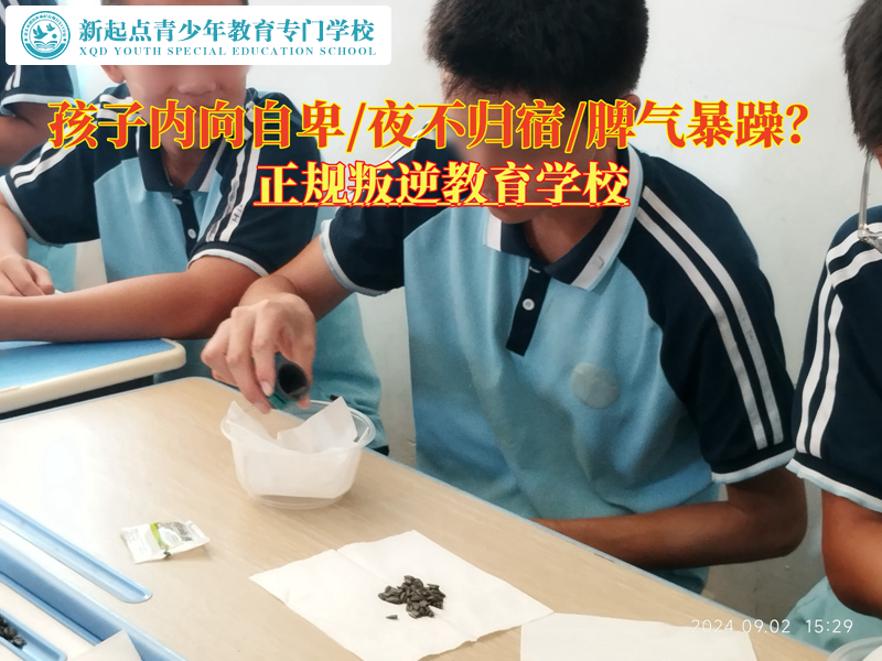 正規叛逆教育學校改變自卑孩子的建議