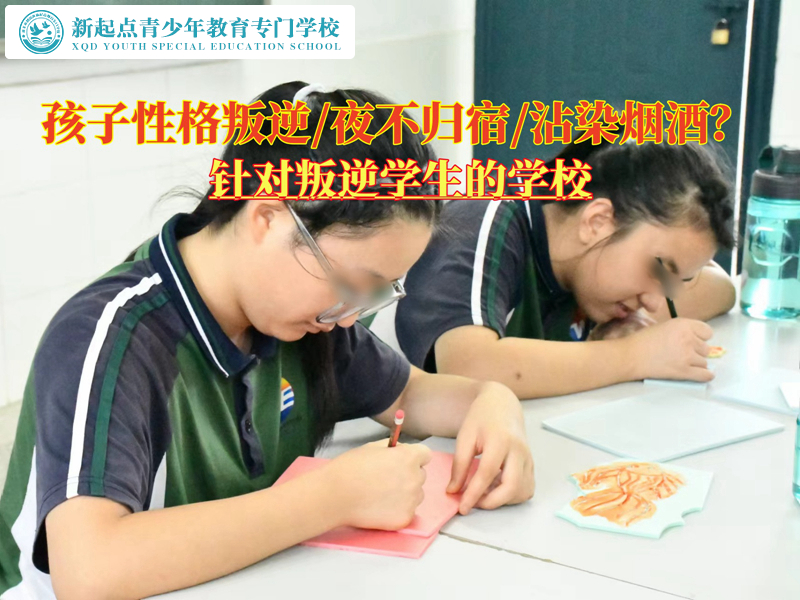 針對(duì)叛逆學(xué)生的學(xué)校教育無理取鬧的孩子