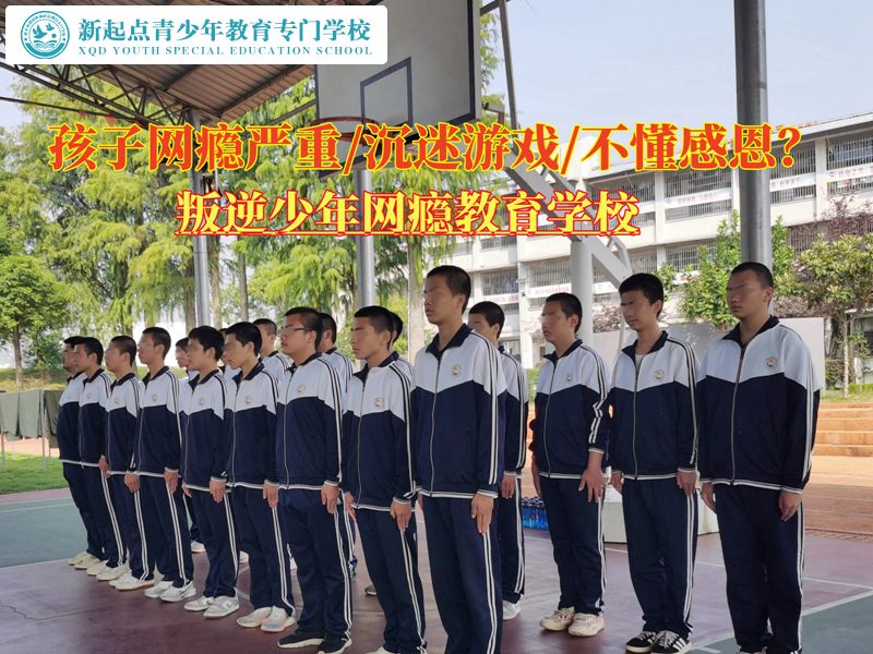叛逆少年網癮教育學校給家長朋友的建議
