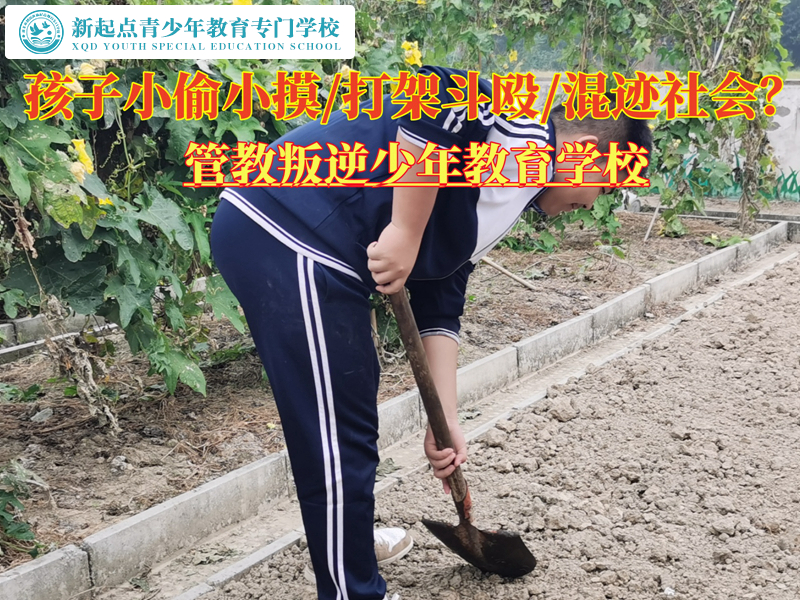 管教叛逆少年教育學(xué)校矯正偷東西的孩子