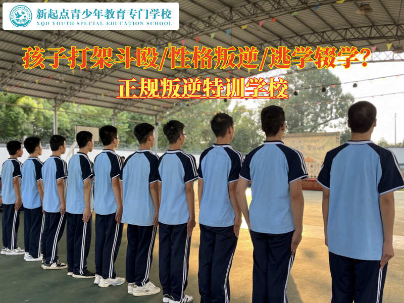 正規叛逆特訓學校教育青少年打架斗毆的建議