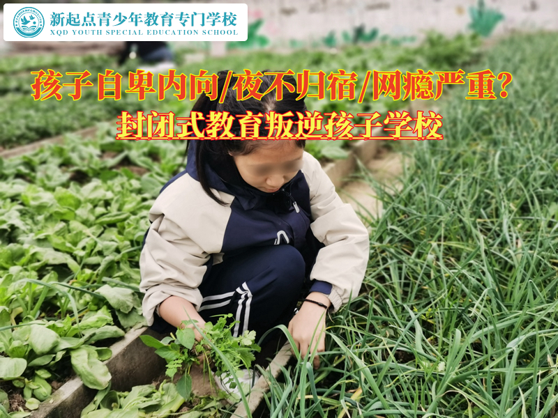 封閉式教育叛逆孩子學(xué)校驅(qū)散青春期的自卑