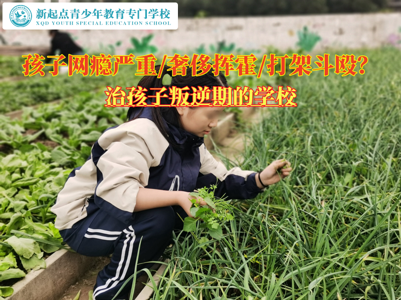 治孩子叛逆期的學(xué)校矯正網(wǎng)癮青少年