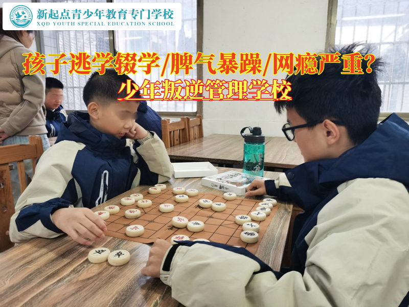少年叛逆管理學(xué)校教育逃學(xué)的孩子
