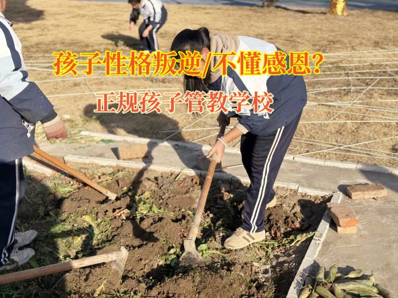正規(guī)孩子管教學(xué)校改造不懂得感恩的青少年