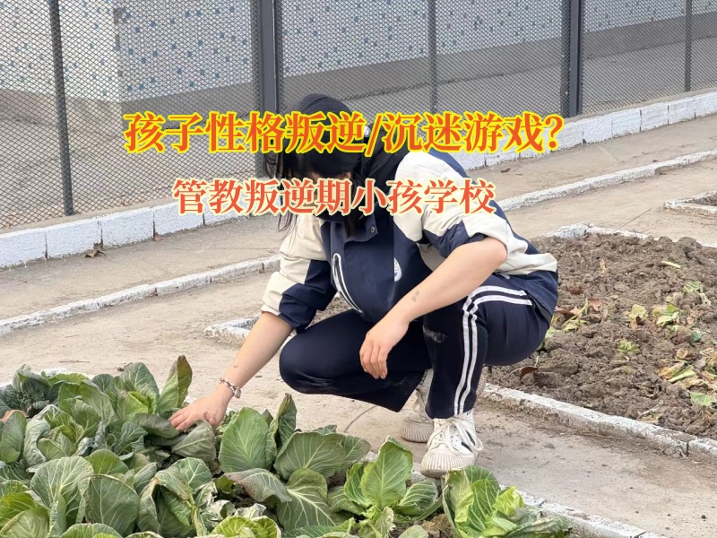 管教叛逆期小孩學校幫助孩子走出手機虛擬世界