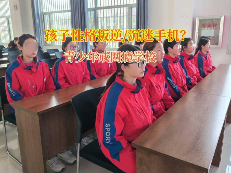 青少年戒網(wǎng)癮學(xué)校教幫助孩子戒除手機(jī)癮