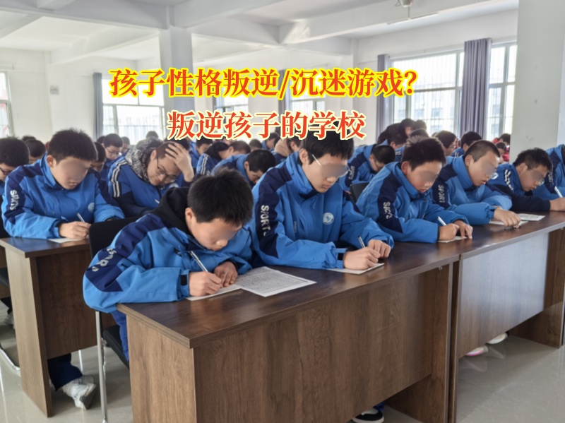 叛逆孩子的學校讓青少年不再沉迷游戲