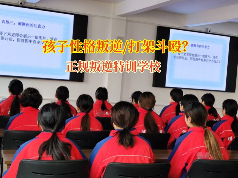 正規叛逆特訓學校教育青少年勿要打架斗毆