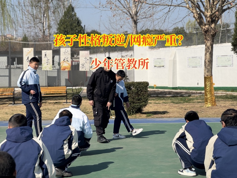 少年管教所教您如何戒掉幫孩子手機游戲