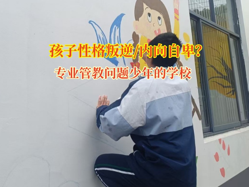 專業管教問題少年的學校教孩子走出孤僻怪圈