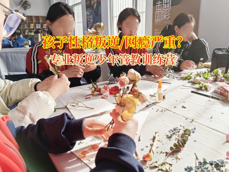 專業(yè)叛逆少年管教訓(xùn)練營解決孩子對父母大喊大叫