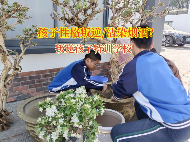 15歲孩子偷偷吸煙喝酒—守護青春，遠離煙酒迷霧