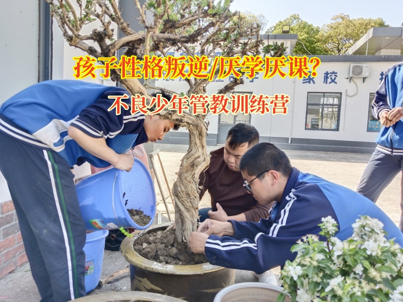 不良少年管教訓練營助力青少年重拾學習熱情