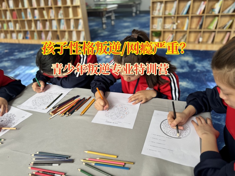 青少年叛逆專業特訓營助力青少年遠離網絡色情危害