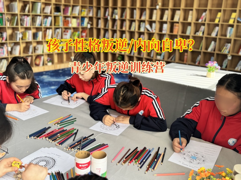 青少年叛逆訓(xùn)練營打破內(nèi)向枷鎖
