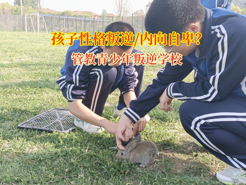 管教青少年叛逆學校用科學陪伴為孩子點亮心燈