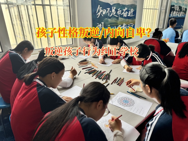 叛逆孩子行為糾正學校幫助情緒低落的孩子重拾信心