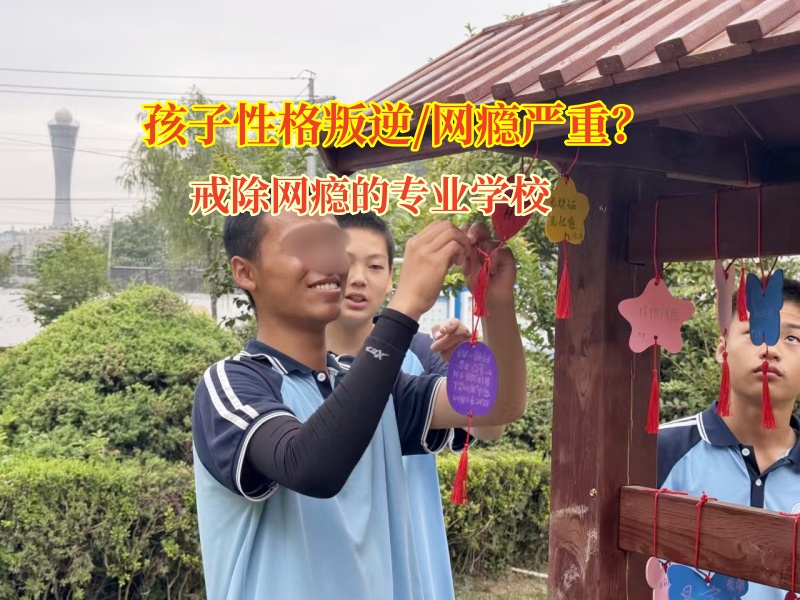 戒除網癮的專業學校矯正初中女孩迷戀網絡小說