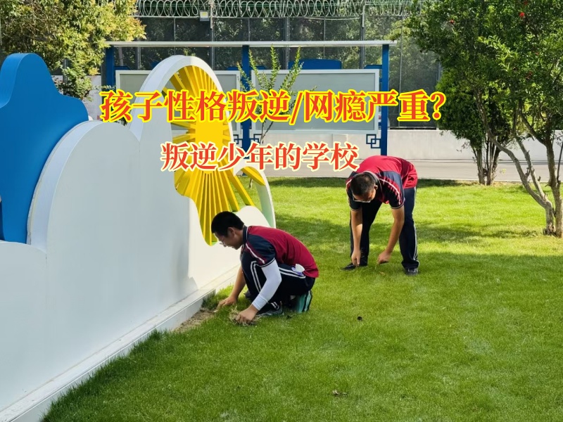 叛逆少年的學校化解孩子攀比心理 叛逆少年的學校化解孩子攀比心理