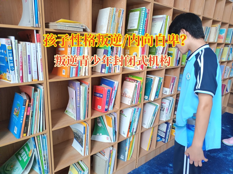 叛逆青少年封閉式機構給抑郁青少年一個避風港 叛逆青少年封閉式機構給抑郁青少年一個避風港