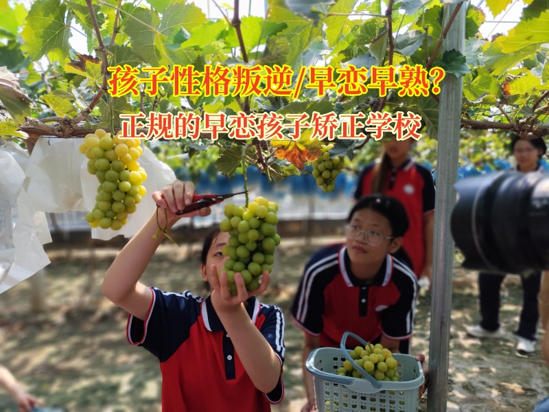 正規(guī)的早戀孩子矯正學(xué)校助早戀少年走出情感迷霧