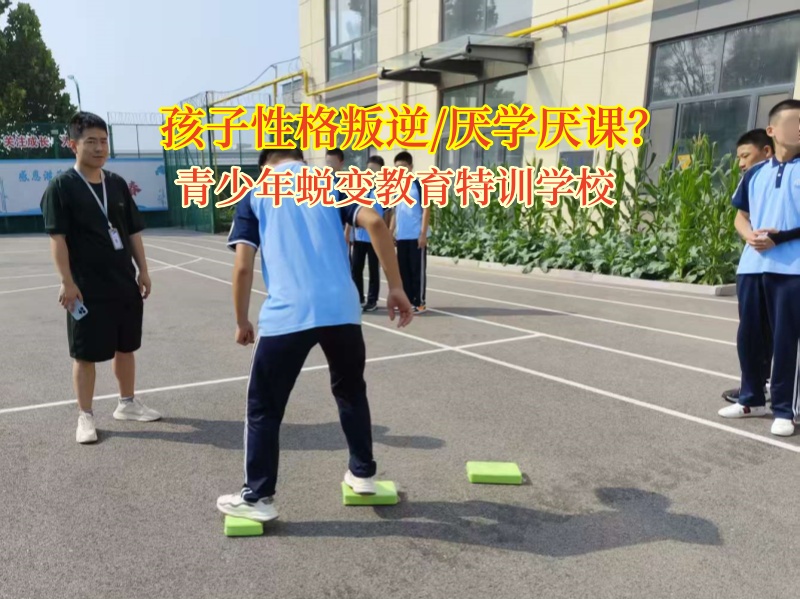 青少年蛻變教育特訓學校:幫青春期娃重啟學習之旅 青少年蛻變教育特訓學校:幫青春期娃重啟學習之旅