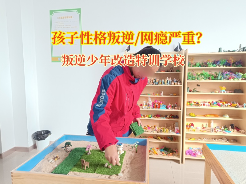 叛逆少年改造特訓學校收費是什么標準？