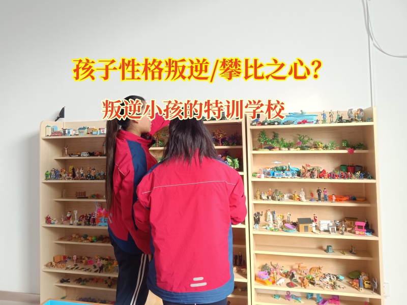 叛逆小孩的特訓(xùn)學(xué)校教導(dǎo)愛攀比的叛逆孩子 叛逆小孩的特訓(xùn)學(xué)校教導(dǎo)愛攀比的叛逆孩子