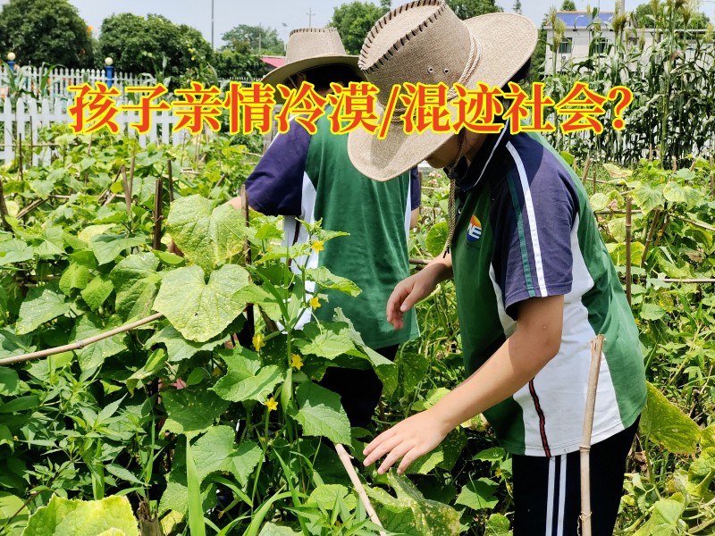 湖南正規叛逆學校：如何讓親情冷漠的孩子親情回溫？