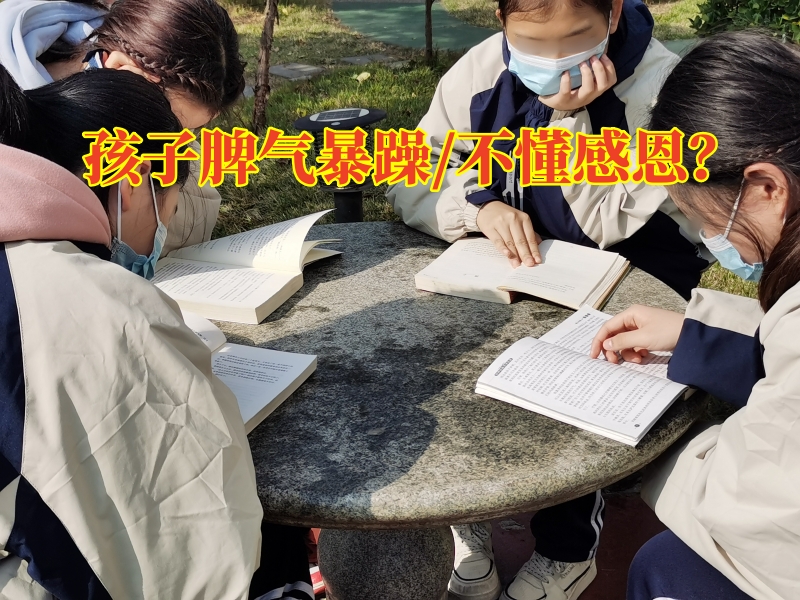 株洲市少年管教學校對孩子脾氣暴躁的三點建議，株洲市青少年管教學校